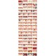 Powerpoint Presentation 001